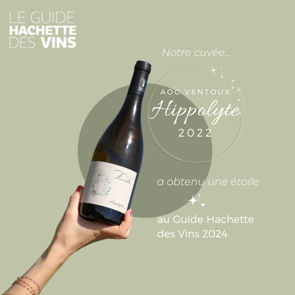 Parution Guide Hachette des Vins 2024